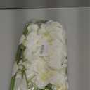 27" Artificial Phalaenopsis Flowers 6 Pcs White Perhaps Faint Yellow Artificial Orchid Flowers Stem Plants for Home Dcor