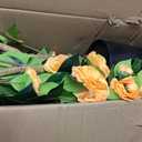 Artificial Camellia Plant in Black Pot - 36 Faux Spring Flower Tree with Realistic Camellia Flower, Fake Flower Tree Perfect for Home Decor, Office Indoor/Outdoor Use (Orange)