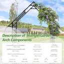 Garden Arch Trellis - Garden Arch Size: 48"-51"(L)*98"(H)*16"(W)