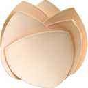 3 Pairs Bra Pads Inserts,Sewn Push Up for Sports Bra Cup,Removable Bra Inserts Enhancers for Dresses Swimsuits Bikini (Beige) C/D/E