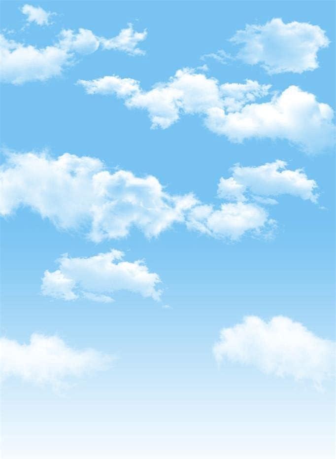 AOFOTO 3x5ft Blue Sky Backdrops White Clouds Photo Shoot Background Photography Studio Props Digital Video Drop Baby Infant Kid Newborn Toddler Artistic Portrait
