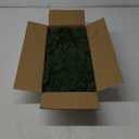 12 Pcs Artificial Norfolk Pine Branches, Norfolk Pine Artificial Pine Stems DIY Crafts Faux Christmas Greenary Norfolk Pine Branches for Xmas Wreath Garland Home Decor