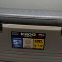 Igloo Hard Cooler | Polar & Party Bar Series | Insulated Ice Chests