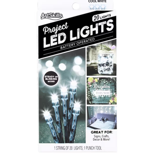ArtSkills® 20ct. Cool White LED String Lights