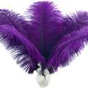 Ballinger Purple Big Ostrich Feathers - 12Pcs 14-16inch Large Feathers for Tall Vase,Mardi Gras Party Centerpieces and Holiday Home Decor (14-16 inch)
