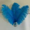 10pcs Large Turquoise Ostrich Feathers 16-18 inch Fluffy Feather for Crafts Home Party Decoration Wedding Centerpieces Clothes Vase Decor