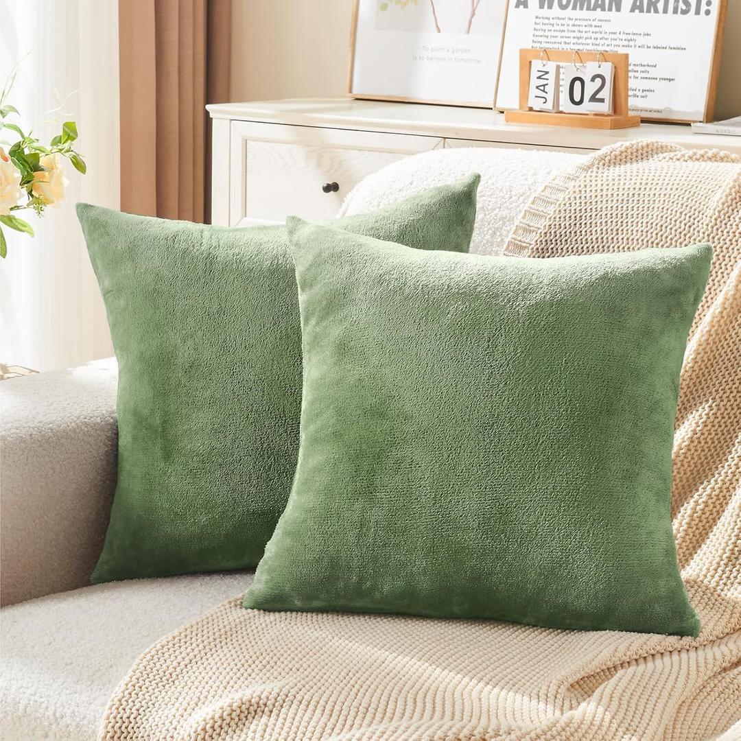 BEDELITE Velvet Pillow Covers 18x18 with Zipper, 2 Pack Super Soft Square Pillow Covers for Bedroom, Sofa, Luxury Cozy Fleece Pillowcases for All Seasons(18x18 Inches, Sage Green)