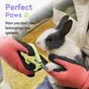 3 x Cat Nail Clippers with Nail File, Kitten Claw Nail Clippers for Trimming, Stainless Steel Pet Bearded Nail Clippers Tool for Dragon, Guinea Pig, Rabbits, Birds, Ferret Small Breed Animals(Green)