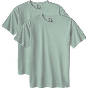 Comfort Colors Adult Heavyweight Short Sleeve Tee, Style G1717/G1745, Multipack (X-Large, Bay), Pack of 2