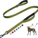 Fida 4 FT Heavy Duty Dog Leash with 2 Comfortable Padded Handles, Traffic Handle & Advanced Easy Snap Hook, Reflective Walking Lead for  Dogs, Green