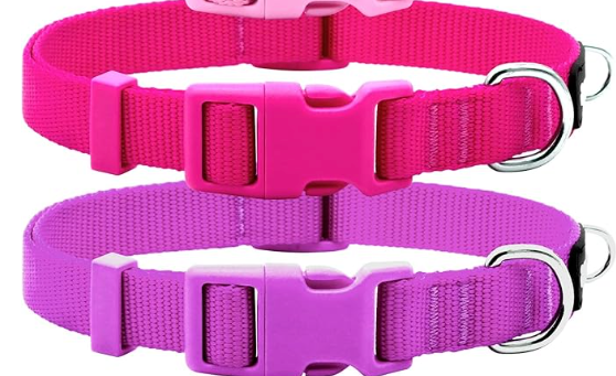azuza 2 Pack Dog Collars Comfortable and Adjustable Nylon Dog Collars for for Small Dogs, S (11-16inch) Hot Pink and Purple