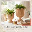 2 Pcs Rattan Scallop Vase Indoor Outdoor Planter Basket Woven Decorative Storage Basket and Planter for Porch Patio Backyard Home Garden 13 x 13 x 15.8 Inches, 7.1 x 7.1 x 8.7 Inches