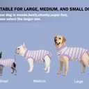 Sebdtico Recovery Suit for Dogs,Dog Surgery Suit Female Spay,Soft Dog Onesie for Surgery Female,Dog Cone Alternative Surgical Recovery Suit Female,Abdominal Wounds Licking Anti Suit for Dogs, Small
