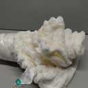 Bedsure GentleSoft White Throw Blanket for Couch - Soft Cozy Blankets for Women, Fluffy Fuzzy Fleece Throw for Girls, Birthday Gifts for Women Her, Room Home Boho Spring Decor, Off White, 50x60 Inches