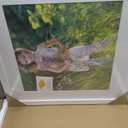 THREELOVE White 17x17 Frame with 13x13 Mat Opening Picture Frame -1PCS