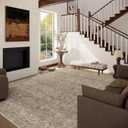 Machine Washable Rugs for Living Room: 5x7 Area Rugs for Bedroom Vintage Stain Resistant Non Slip Low Pile Lightweight Boho Carpet for Kitchen Dining Room Farmhouse Kids Room Nursery, Brown And Grey