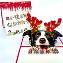 Border Collie Christmas Pop-Up Card 3D Holiday Greeting Card Featuring Adorable Border Collie Dog with Festive Reindeer Antlers, Perfect for Dog Lovers, Unique Card for Friends and Family