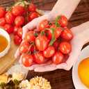PH PandaHall 2 Pack Artificial Cherry Tomatoes 6.1 inch Long Artificial Fruit Lifelike Simulation Tomato Red Tomatoes Decoration Faux Fruit Props for Home Kitchen Cabinet Party Pretending Prop