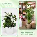 2 Pack Small Plant Trellis for Pots Indoor, Clear Acrylic Hoya Pothos Trelli with 20 Ties