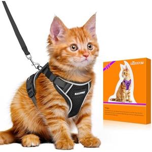 Halypet Cat Harness and Leash Set [MAX Safety 4th-Gen Upgrade] Escape Proof Adjustable Cat Leash Comfortable Soft Vest Easy to Wear Kitten Harness with Reflective Strip for Cats Walking, M Black