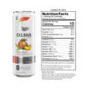 CELSIUS Fizz Free Peach Mango Green Tea, Sugar Free Energy Drink, 12 Fl Oz (Pack of 12) (EXP 07/01/27)