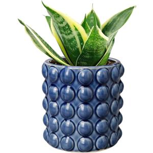 6 Inch Ceramic Planter Pot for Indoor Plants with Drainage Hole Bubble Flower Planter Hobnail Plant Pot Garden Planter Blue Succulent Plant Pot Utensil Holder