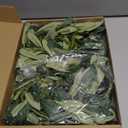 Giegxin 2 Pcs Total 10 ft Artificial Olive Leaf Vine Artificial Garland Hanging Green Vine with Fake Fruits Greenery Olive Leaves Decor for Wedding Backdrop Home Office Garden Wall Door