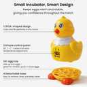 Incubators for Hatching Eggs, Small Egg Incubator with Temperature Control, Air Circulation & Viewing Window, 6 Eggs Poultry Hatcher for Chicken Duck Quail Pigeon Pheasant, Ideal for Home Lab Kids