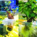 2 x DONGKER Aquarium Plant Holder,2 PCS Hanging Fish Tank Plant Pot for Fish Tank Wall Thickness up to 1.2cm/0.5" (Round Opening)