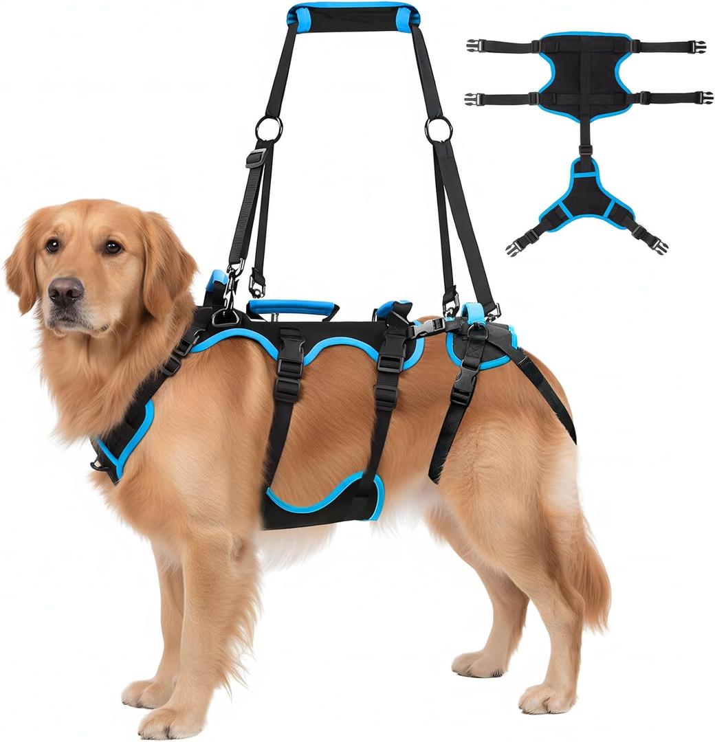 Dog Lift Harness for Large Male Dogs, 2-in-1, Back Leg Support & Mobility Assistance for Senior Dogs, Post-Surgery Recovery Sling(Medium)