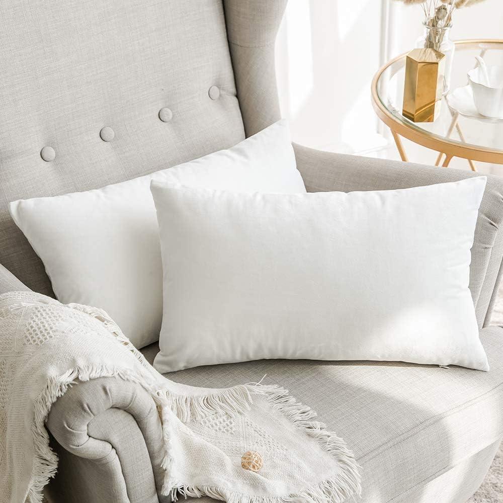 MIULEE Pack of 2 Velvet Soft Solid Decorative Square Throw Pillow Covers Set Christmas Cushion Case for Spring Couch Sofa Bedroom Car 12x20 Inch 30x50 cm Pure White