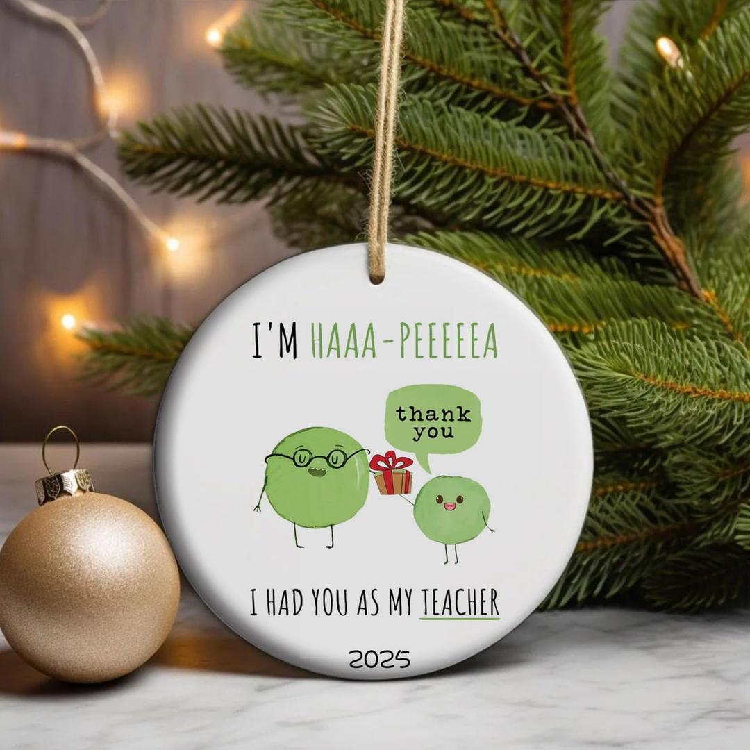 Teacher Ornament  Unique Educator Gift for Christmas, Teacher Appreciation & Retirement  Cute School Themed Keepsake for Teachers Who Love Their Job (C17)