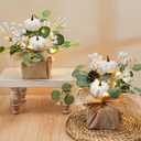 Janinka 2 Set 11 Inch Fall Decorations for Home White Pumpkins Eucalyptus Tables Centerpieces Artificial Pine Cones Berry Stem Picks Decor with 20 LED Lights for Autumn Thanksgiving Decorations