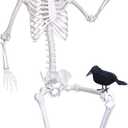 Wocst 6Ft Life Size Skeleton Posable Skeleton with Movable Joints Halloween Full Body Plastic Human Bones with 2PCS Black Crows for Halloween Indoor Outdoor Decor