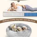 Orthopedic Dog Beds for Small Dogs 20 in, Small Dog Bed with Pocketed Coils and Soft Foam Support, Detachable Puppy Bed for Small Dogs and Cats, Round Flannel Anti-Anxiety Donut Dog Bed, Gray