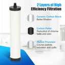 FRC06 Filter Cartridge, FRC06 Filter Replacement for Franke Water Filter, Filters Compatible with Franke FRCNSTR/FRC06 and FRCNSTR100/FRC06FRC06 Filters (2 PACK