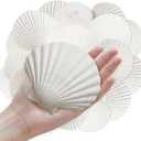 10Pcs 4-5 Sea Shells Natural Scallop for Crafts - DIY Jewelry Holder Large Painting Beach Decorations Ocean Themed Sea Party Wedding Shell Bowl