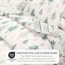 Great Bay Home Lodge Quilt Set - 3-Piece Full/Queen Size Rustic Bedding Set - Lightweight, All-Season, Reversible Bedspread (Grey/Green)