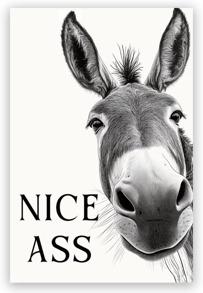DSWEGVR Black and White Donkey Bathroom Wall Art Decor Nice Ass Funny Donkey in Bathroom Picture Poster Fun Animal Canvas Print Farmhouse Humor Wall Decor for Home Washroom Toilet 16x24inch Unframed