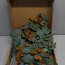 Ling's Moment Eucalyptus Flower Greenery Garland with Willow Leaves 2pcs, 5.9ft Hanging Italian Ruscus Vines Rustic Wreath Swags for Table Centerpieces Wedding Arch Decor, Terracotta Flowers