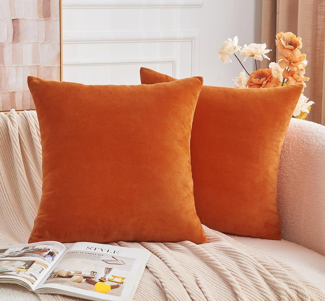 Throw Pillow Covers Burnt Orange Set of 2 18x18 Inch Fall Pillow Covers, Soft Velvet Farmhouse Neutral Decorative Pillowcases for Couch Sofa Bed, Home Boho Decor, Modern Cushion Covers