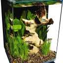 Marineland Portrait Glass LED Aquarium Kit, 5 Gallons, Hidden Filtration,Black