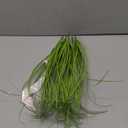 10PCS Fake Grass Filler Decor Artificial Grass Plants Outdoor Faux Plants Artificial Tall Shrubs Wheat Grass Greenery Stems UV Resistant Onion Grss For Outdoor Indoor Vase Planters Home Decor, Green