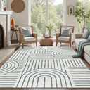DCX Abstract Machine Washable 5x7 Rug, Gray Modern Accent Rug for Living Room, Soft Low Pile Non Slip Carpet, Kid & Pet Friendly Stain Resistant Rug for Bedroom Dining Room Office