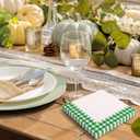 Resurhang Green White 100 Pcs Checkered Napkins Gingham Plaid Tissue Disposable Napkins Picnic BBQ Party Supplies for Spring Summer Party Supplies (2 Styles)