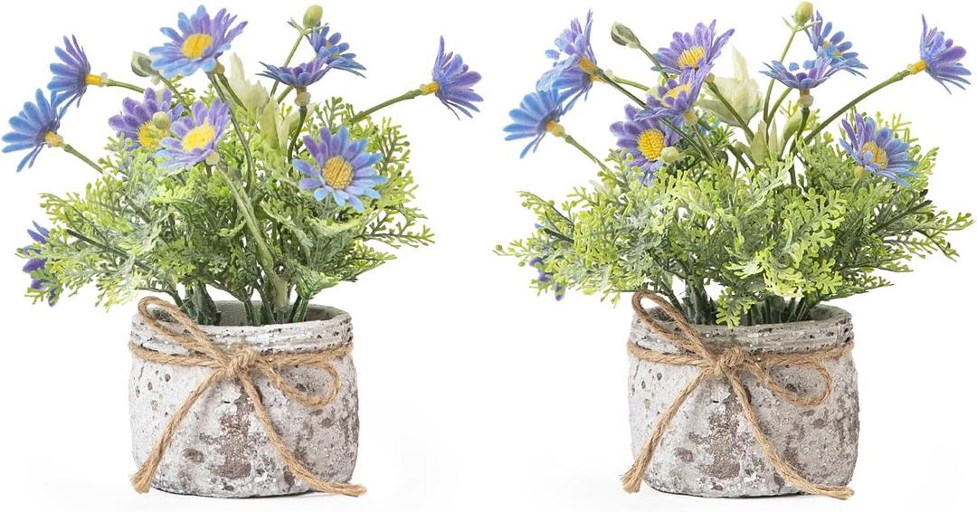 Daisy Artificial Flowers in Cement Vases 2Pcs,Daisies Faux Flowers Farmhouse Home Coffee Table Bookshelf Office Desk Decorations Kitchen Dining Room Fake Plants Indoor(Blue) Daisy Artificial Flowers in Cement Vases 2Pcs,Daisies Faux Flowers Farmhouse Home Coffee Table Bookshelf Office Desk Decorations Kitchen Dining Room Fake Plants Indoor(Blue)