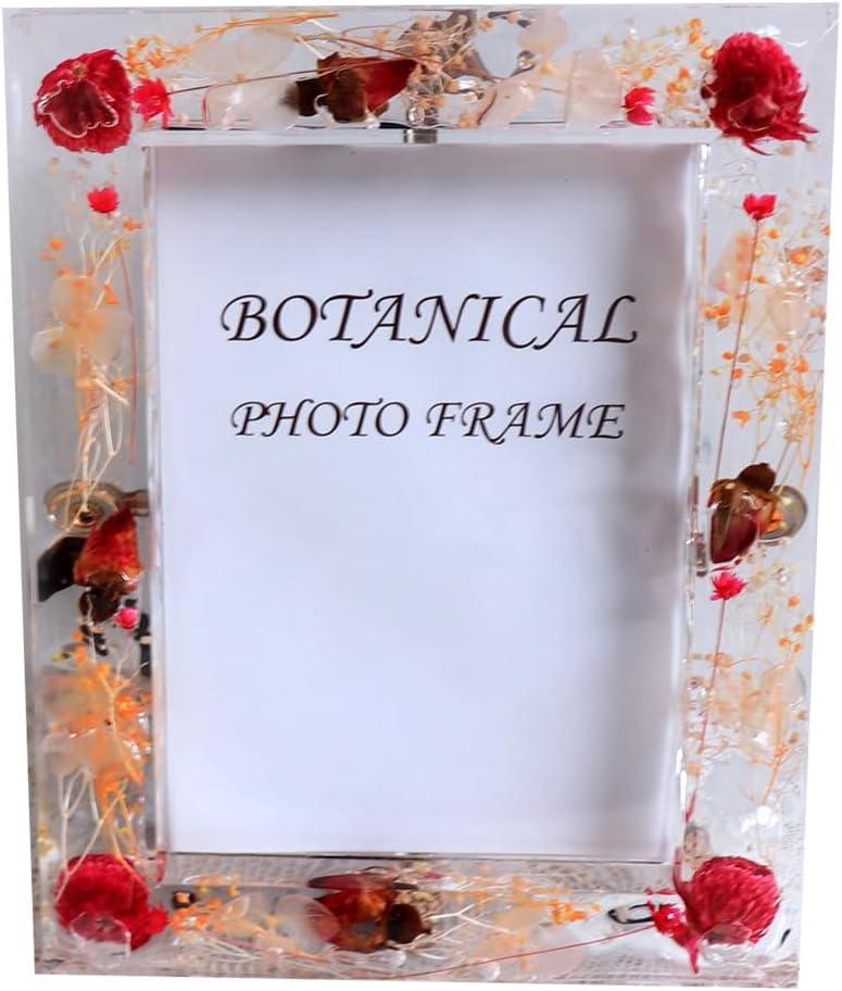 Botanical Picture Frame, 3.5"x5" 4 * 6'' 5 * 7,Acrylic dried flower photo frame tabletop and wall hanging Blue Red Yellow Purple 1pc picture random (Red, 4 * 6'')