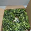 22 Inch Artificial Boxwood Wreaths for Front Door, Summer Door Wreath with Sash, Spring Green Wreath Weatherproof for Wall Window Porch Farmhouse Wedding Decor All Year Round Indoor Outdoor