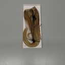 Rich Choices Short Halo Hair Extensions Real Human Hair Remy Hairs Halo Extension for Women Invisible Wire Clip in Hairpiece for Short Hairs 12 Inch #12P613 Golden Brown Highlight Bleach Blonde