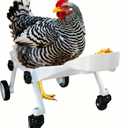 Adjustable Small-Scale Pet Chicken Wheelchair - Small Pet Poultry Mobility Aid Cart, Adjustable Size for Comfortable Use, Supports Injured/Disabled Poultry to Move Freely